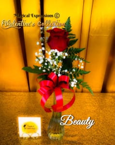 Beauty