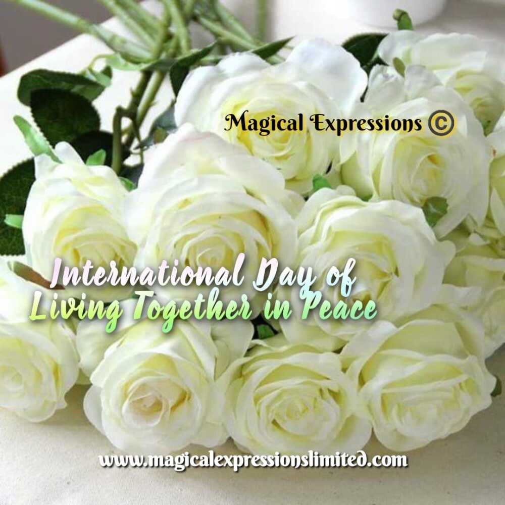 International Day of Living Together in Peace