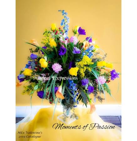 Moments Of Passion